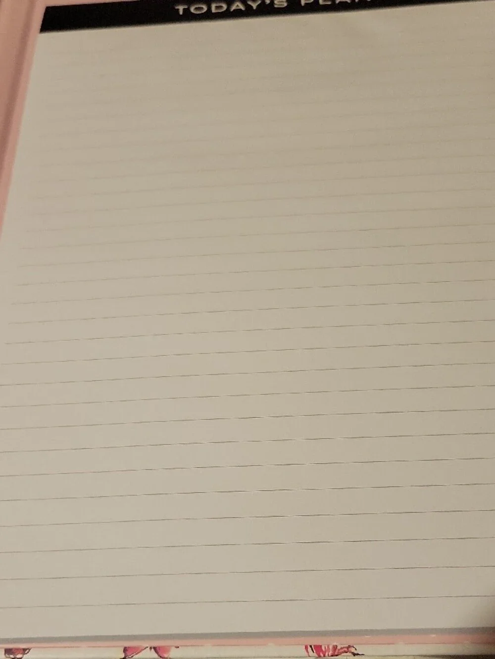 Betsey Johnson Pink Butterfly Padfolio with Gold Pen